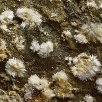 Uralolite