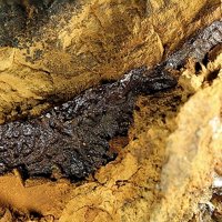 Raguinite