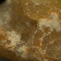 Canaphite