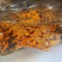 Uranotungstite
