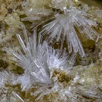 Canaphite