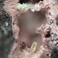 Ianthinite, Parauranophane