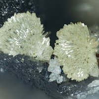 Fassinaite