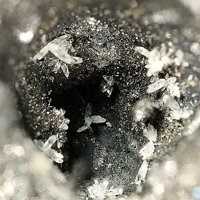 Palmierite
