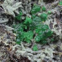 Barahonaite-(Fe), Conichalcite, Lavendulan