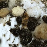 Bainbridgeite-(YCe)
