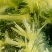 Bayleyite