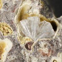 Dachiardite-Ca