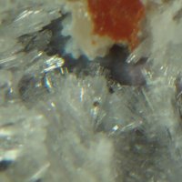 Macdonaldite