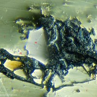 Paolovite, Pentlandite, Cubanite