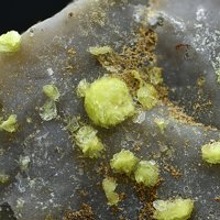 Carlhintzeite