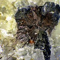 Aenigmatite, Ferro-katophorite
