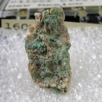 Rajite