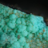 Carrboydite