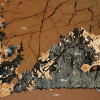 Mackinawite, Cubanite, Chalcopyrite
