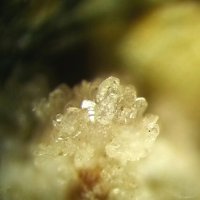Carlhintzeite