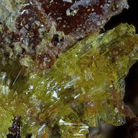 Bayleyite