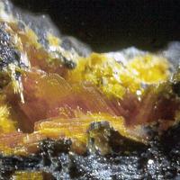 Bazhenovite