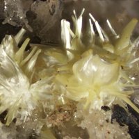Rabbittite