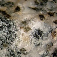 Nacareniobsite-(Ce), Steenstrupine-(Ce), Albite
