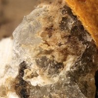 Sacrofanite