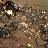 Mackinawite, Pyrite, Chalcopyrite