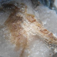 Davreuxite