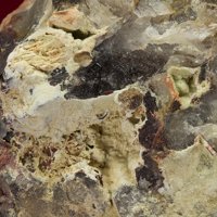 Caysichite-(Y), Quartz
