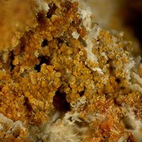 Earlshannonite, Beraunite, Strunzite
