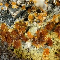 Earlshannonite