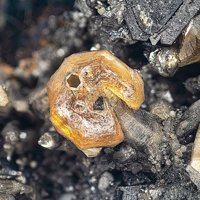 Quintinite