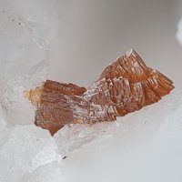 Raspite