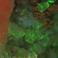 Gaidonnayite, Fluorite, Microcline