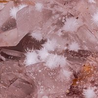 Carlhintzeite