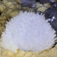 Dachiardite-Ca, Dachiardite-Na, Mordenite