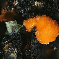 Uranosphaerite, Zeunerite