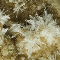 Afwillite