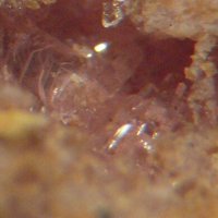 Lanthanite-(Nd)