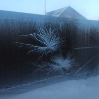 Ice