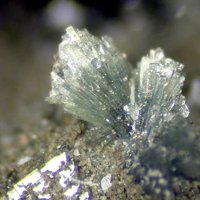 Cascandite