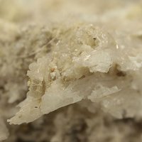 Larderellite