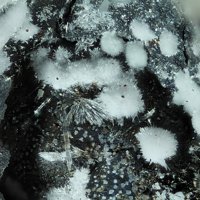 Lanarkite