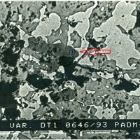 Padmaite