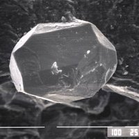 Macedonite