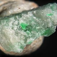 Fabrièsite, Trinepheline, Nepheline