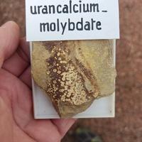 Calcurmolite, Umohoite