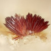 Carminite