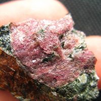 Lamprophyllite, Eudialyte, Aegirine