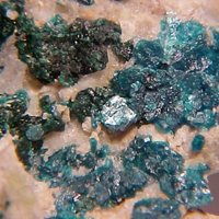 Salesite