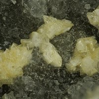 Carlfriesite